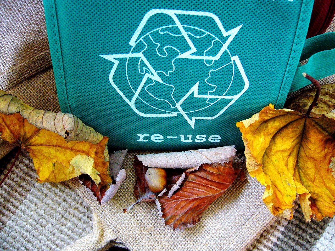 Ways to Reduce, Reuse, and Recycle In Your Business